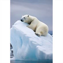 Lade das Bild in den Galerie-Viewer, Spannrahmenbild Eisbär auf Eisscholle Digital Art Hochformat