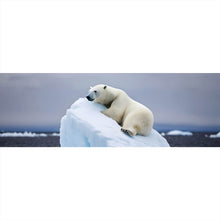Lade das Bild in den Galerie-Viewer, Leinwandbild Eisbär auf Eisscholle Digital Art Panorama