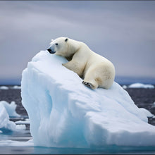Lade das Bild in den Galerie-Viewer, Spannrahmenbild Eisbär auf Eisscholle Digital Art Quadrat