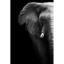 Lade das Bild in den Galerie-Viewer, Spannrahmenbild Elefant auf Schwarz Hochformat