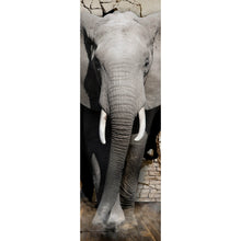 Lade das Bild in den Galerie-Viewer, Poster Elefant kommt aus der Wand Panorama Hoch