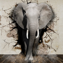 Lade das Bild in den Galerie-Viewer, Poster Elefant kommt aus der Wand Quadrat