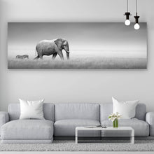 Lade das Bild in den Galerie-Viewer, Spannrahmenbild Elefant und Zebra Panorama