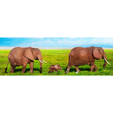 Lade das Bild in den Galerie-Viewer, Leinwandbild Elefanten Familie in Kenia Panorama