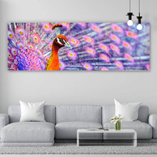 Lade das Bild in den Galerie-Viewer, Spannrahmenbild Eleganter Pfau mit ausgebreiteten Federn Panorama