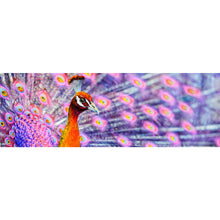 Lade das Bild in den Galerie-Viewer, Poster Eleganter Pfau mit ausgebreiteten Federn Panorama