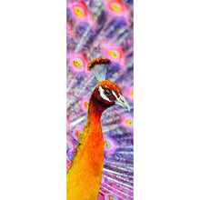 Lade das Bild in den Galerie-Viewer, Leinwandbild Eleganter Pfau mit ausgebreiteten Federn Panorama Hoch