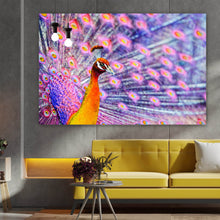 Lade das Bild in den Galerie-Viewer, Acrylglasbild Eleganter Pfau mit ausgebreiteten Federn Querformat