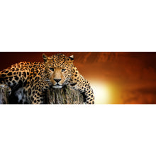 Lade das Bild in den Galerie-Viewer, Leinwandbild Entspannter Leopard Panorama