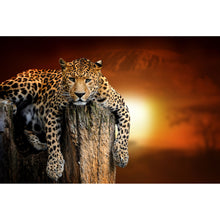Lade das Bild in den Galerie-Viewer, Spannrahmenbild Entspannter Leopard Querformat