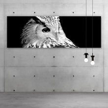 Lade das Bild in den Galerie-Viewer, Poster Eule auf schwarzem Hintergrund Panorama