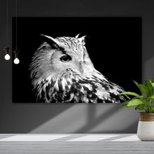 Lade das Bild in den Galerie-Viewer, Aluminiumbild Eule auf schwarzem Hintergrund Querformat