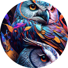 Lade das Bild in den Galerie-Viewer, Aluminiumbild gebürstet Eulenpaar bunt Digital Art Kreis