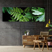 Lade das Bild in den Galerie-Viewer, Poster Farn auf schwarzem Hintergrund Panorama