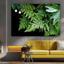 Lade das Bild in den Galerie-Viewer, Poster Farn auf schwarzem Hintergrund Querformat