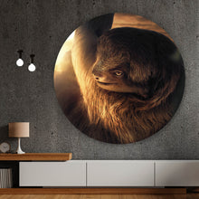 Lade das Bild in den Galerie-Viewer, Aluminiumbild gebürstet Faultier bei Sonnenaufgang Kreis