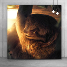 Lade das Bild in den Galerie-Viewer, Poster Faultier bei Sonnenaufgang Quadrat