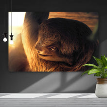 Lade das Bild in den Galerie-Viewer, Poster Faultier bei Sonnenaufgang Querformat