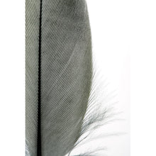 Lade das Bild in den Galerie-Viewer, Leinwandbild Feder Schwarz-Weiß Hochformat