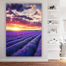 Lade das Bild in den Galerie-Viewer, Spannrahmenbild Fliederfeld im Sonnenuntergang Hochformat