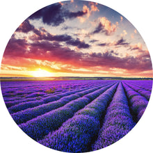Lade das Bild in den Galerie-Viewer, Aluminiumbild gebürstet Fliederfeld im Sonnenuntergang Kreis