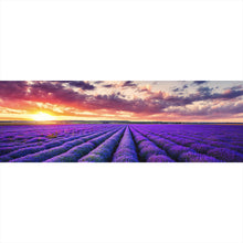 Lade das Bild in den Galerie-Viewer, Aluminiumbild Fliederfeld im Sonnenuntergang Panorama