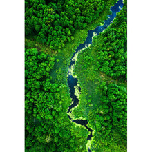 Lade das Bild in den Galerie-Viewer, Poster Fluss mit blühenden Algen Hochformat