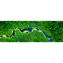 Lade das Bild in den Galerie-Viewer, Leinwandbild Fluss mit blühenden Algen Panorama