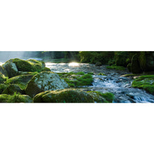 Lade das Bild in den Galerie-Viewer, Poster Fluss und Welle im Licht Panorama
