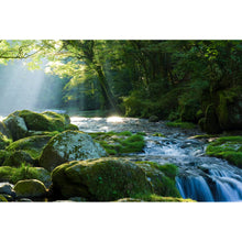 Lade das Bild in den Galerie-Viewer, Poster Fluss und Welle im Licht Querformat