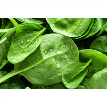 Lade das Bild in den Galerie-Viewer, Leinwandbild Frischer Blattspinat Querformat