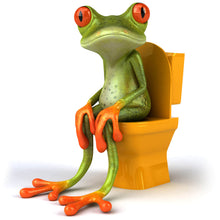 Lade das Bild in den Galerie-Viewer, Poster Frosch auf Toilette Quadrat