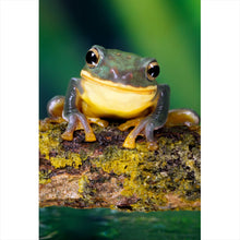 Lade das Bild in den Galerie-Viewer, Spannrahmenbild Frosch Smile Hochformat