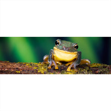 Lade das Bild in den Galerie-Viewer, Leinwandbild Frosch Smile Panorama