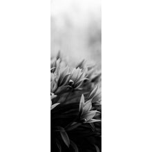 Lade das Bild in den Galerie-Viewer, Acrylglasbild Frühlingsblumen in Schwarz Weiß Panorama Hoch