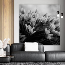 Lade das Bild in den Galerie-Viewer, Aluminiumbild gebürstet Frühlingsblumen in Schwarz Weiß Quadrat