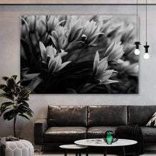 Lade das Bild in den Galerie-Viewer, Leinwandbild Frühlingsblumen in Schwarz Weiß Querformat