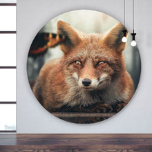 Lade das Bild in den Galerie-Viewer, Aluminiumbild gebürstet Fuchs am Waldrand Kreis