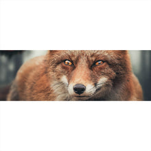 Lade das Bild in den Galerie-Viewer, Aluminiumbild gebürstet Fuchs am Waldrand Panorama
