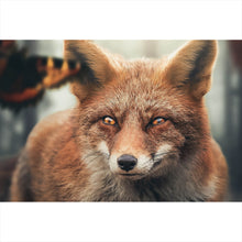 Lade das Bild in den Galerie-Viewer, Acrylglasbild Fuchs am Waldrand Querformat
