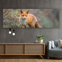 Lade das Bild in den Galerie-Viewer, Aluminiumbild gebürstet Fuchs auf Wiese Panorama