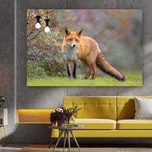 Lade das Bild in den Galerie-Viewer, Acrylglasbild Fuchs auf Wiese Querformat