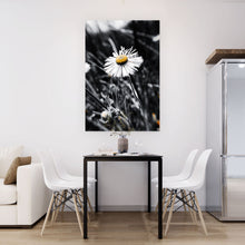 Lade das Bild in den Galerie-Viewer, Spannrahmenbild Gänseblümchen im Schatten Hochformat