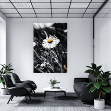 Lade das Bild in den Galerie-Viewer, Spannrahmenbild Gänseblümchen im Schatten Hochformat