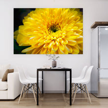 Lade das Bild in den Galerie-Viewer, Leinwandbild Gelbe Blume Querformat