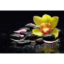 Lade das Bild in den Galerie-Viewer, Poster Gelbe Orchidee Feng Shui Querformat