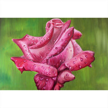 Lade das Bild in den Galerie-Viewer, Leinwandbild Gemälde einer Rose Querformat