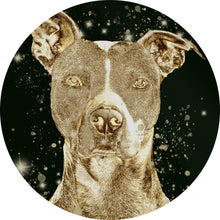 Lade das Bild in den Galerie-Viewer, Aluminiumbild gebürstet Goldener Hund Digital Art Kreis