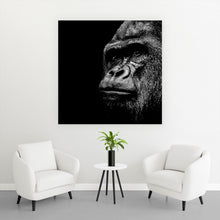 Lade das Bild in den Galerie-Viewer, Poster Gorilla Porträt Quadrat