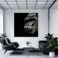Lade das Bild in den Galerie-Viewer, Poster Gorilla Porträt Quadrat